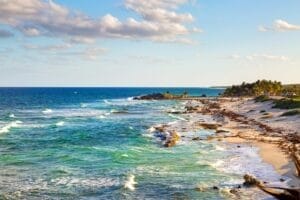 Cozumel Mexico Carribean Sea Shoreline
