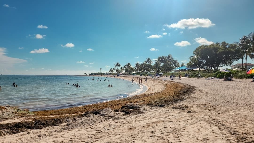 Photo Beach activities