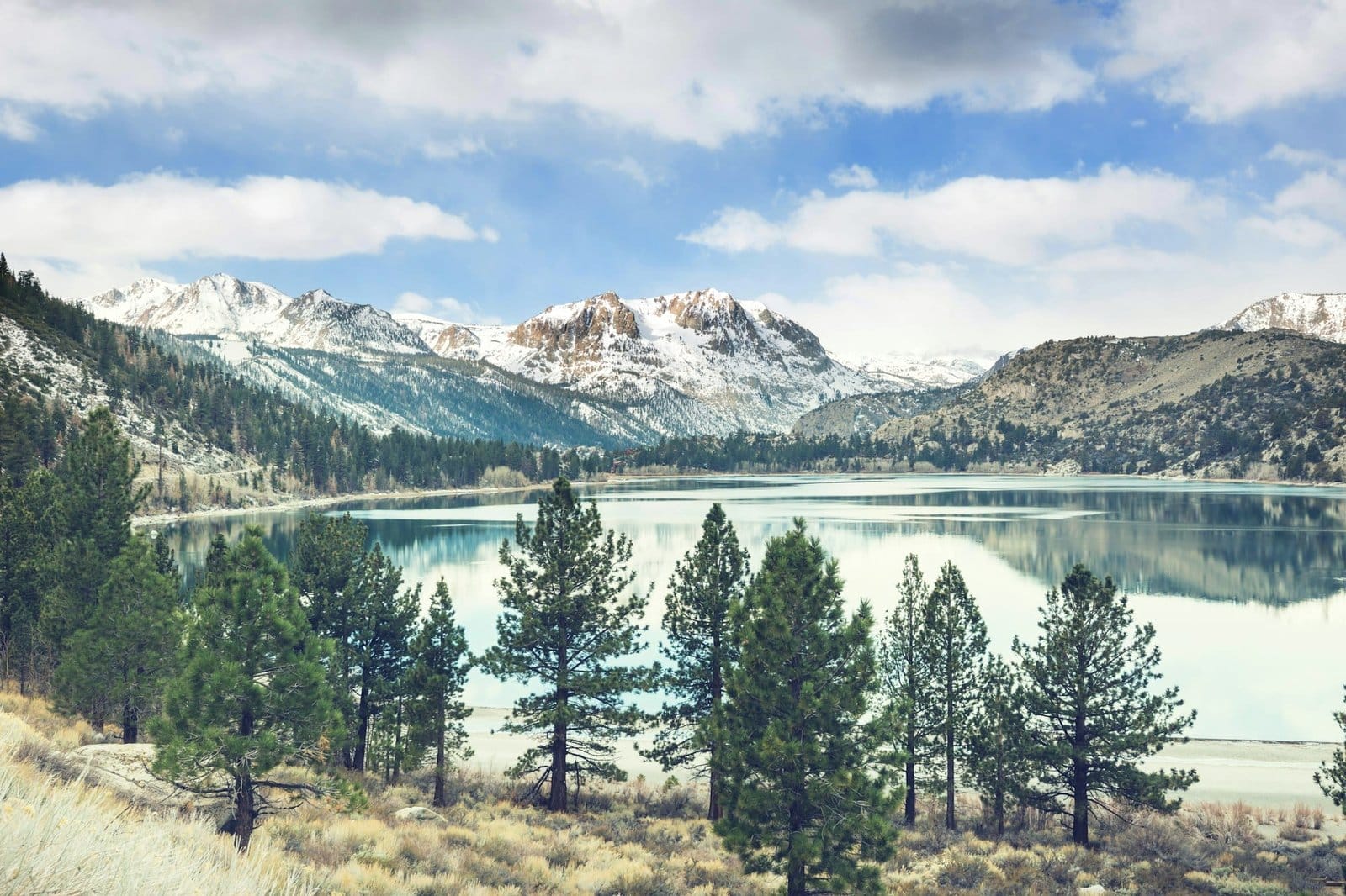 Sierra Nevada