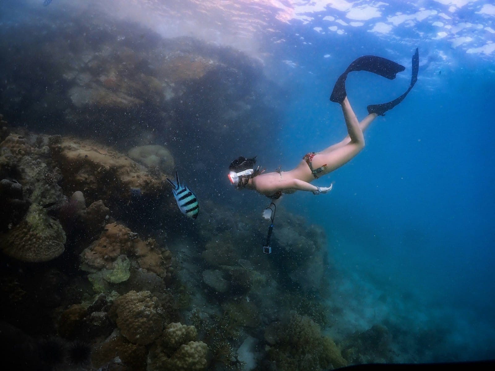 A girl is diving in the sea.