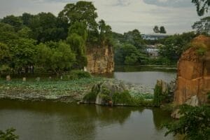 Beautiful lake with stacks covered in trees, Buu Long, Ho Chi Minh City, Vietnam