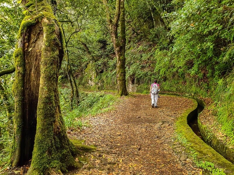 Madeira Para Amantes de Aventura: Mergulho, Surf e Muito Mais