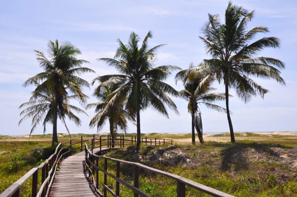 Viagem para Aracaju, Sergipe: Descubra o Destino Perfeito no Nordeste Brasileiro