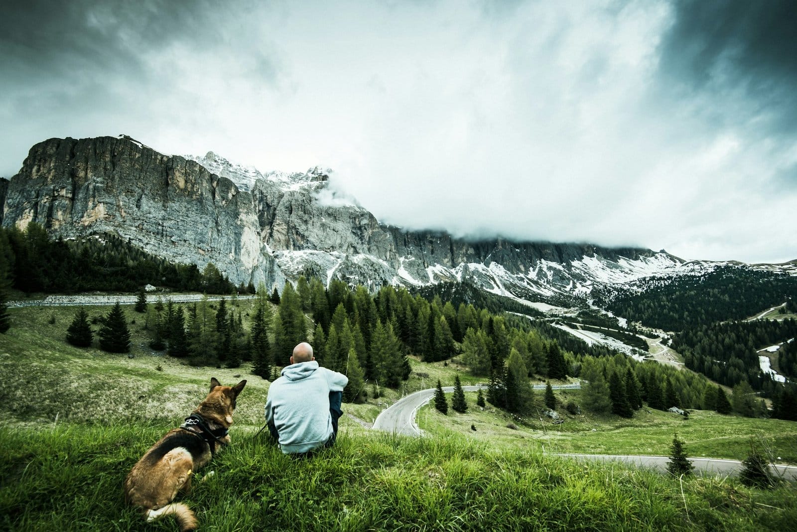 Man with dog on road trip at Gardena pass in Italy
