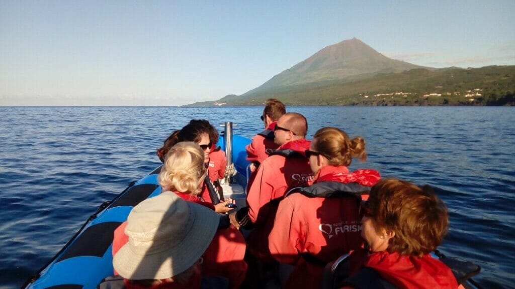 Baleias e Golfinhos: Dicas para Fazer Observação de Cetáceos na Ilha do Pico