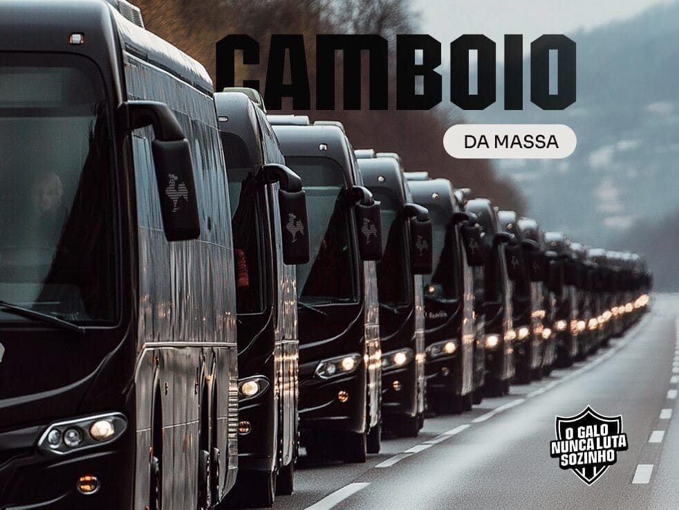 Pacotes de Viagem para a Final da Libertadores 2024 : Vá com o Galo!