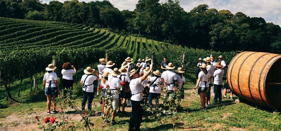 Por que Viajar e  Explorar as Festas Tradicionais e Eventos Locais no Pico, Faial e São Jorge ?