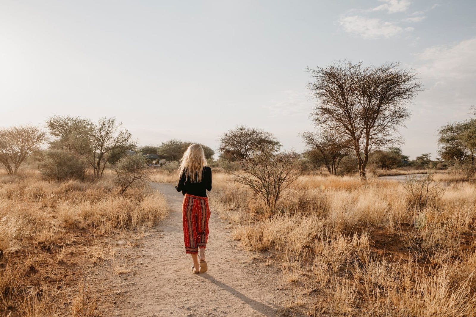 Melhores Passeios e Atividades no Parque Nacional de Mikumi: Um Guia Completo para Viajantes