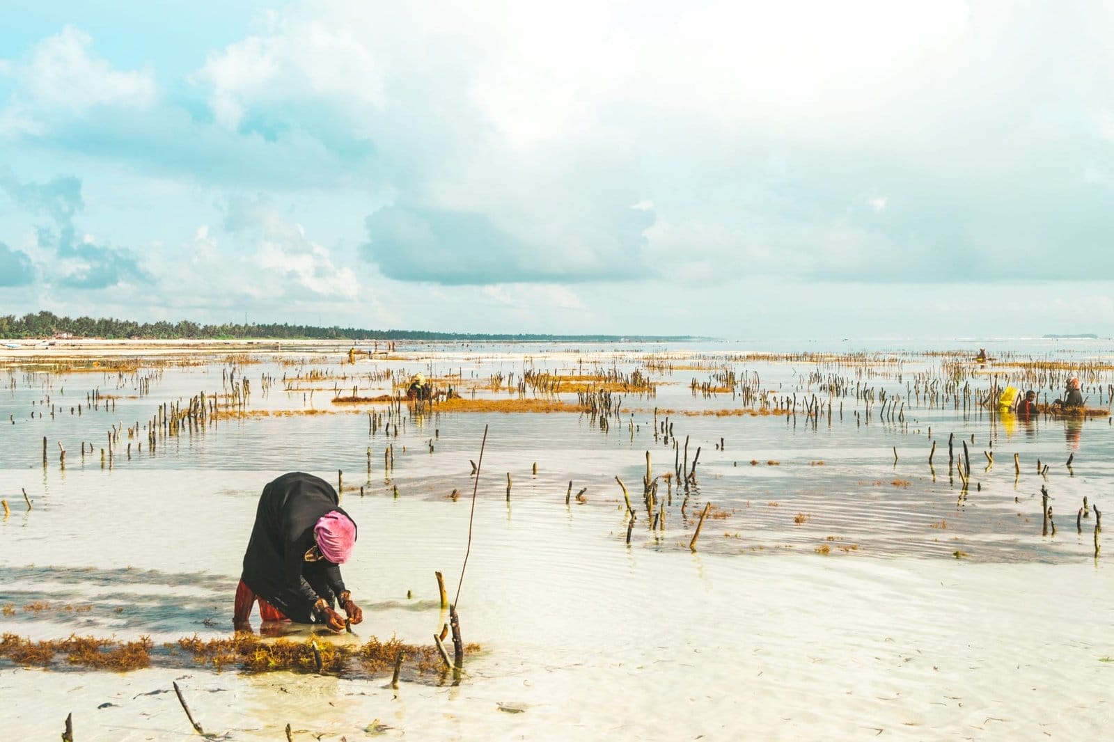 Cultura e Tradições de Zanzibar: Uma Viagem Além das Praias