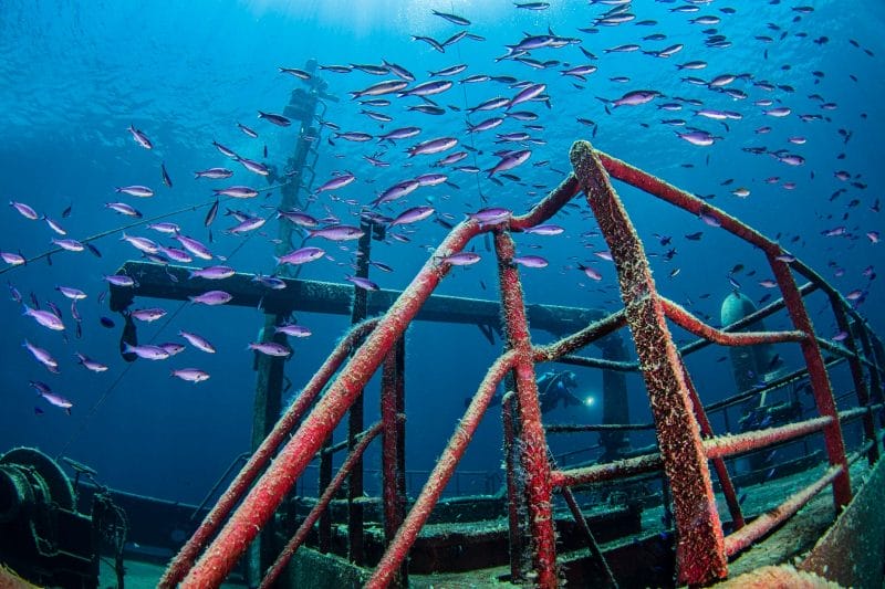 Embarcação é Afundada no Mar de Salvador para Fomentar Turismo de Mergulho : Descubra Porque