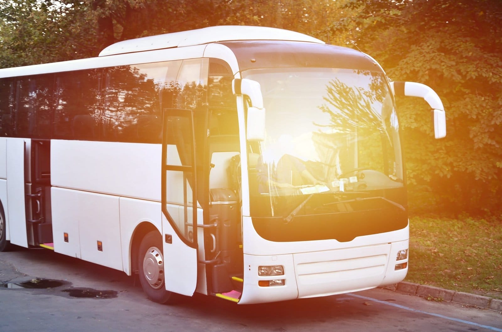 'Vai de Graça': Transporte Público Gratuito Aos Domingos Aumenta Viagens no DF