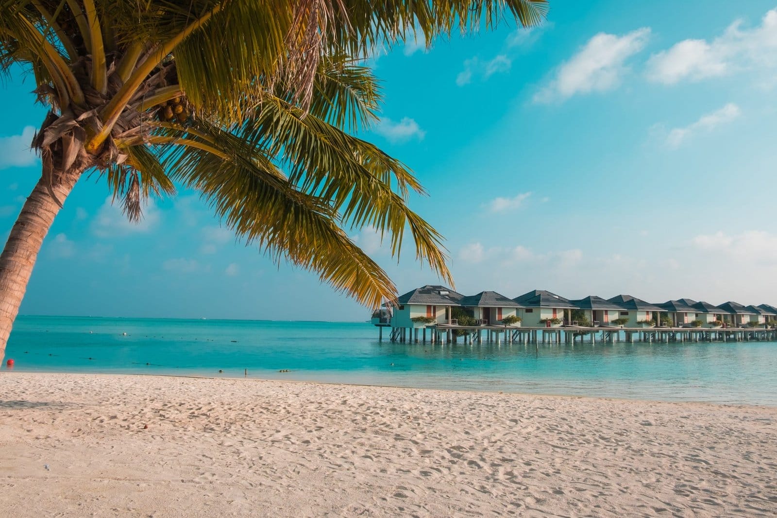 Sandy beach in the Maldives