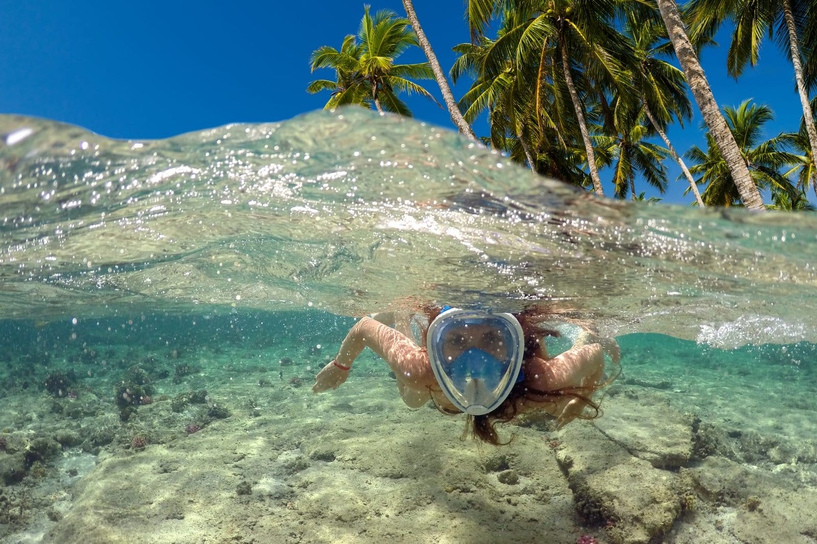 Snorkeling near a tropical island. Beautiful girl swims in the water