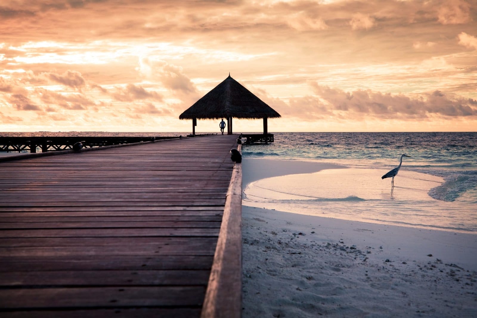 Tropical Beach In The Maldives