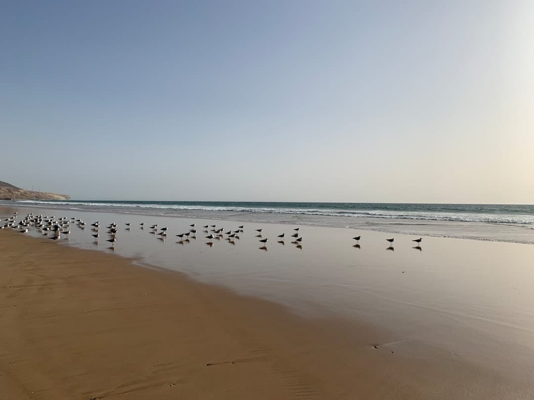 Photo Beach comparison