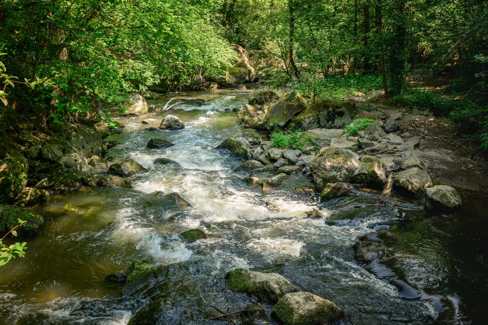the nature park rauscherpark in germany